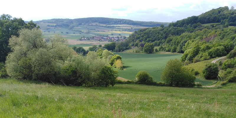 Lesermeinung: LSG Sollingvorland-Wesertal verdient eine bessere Lösung